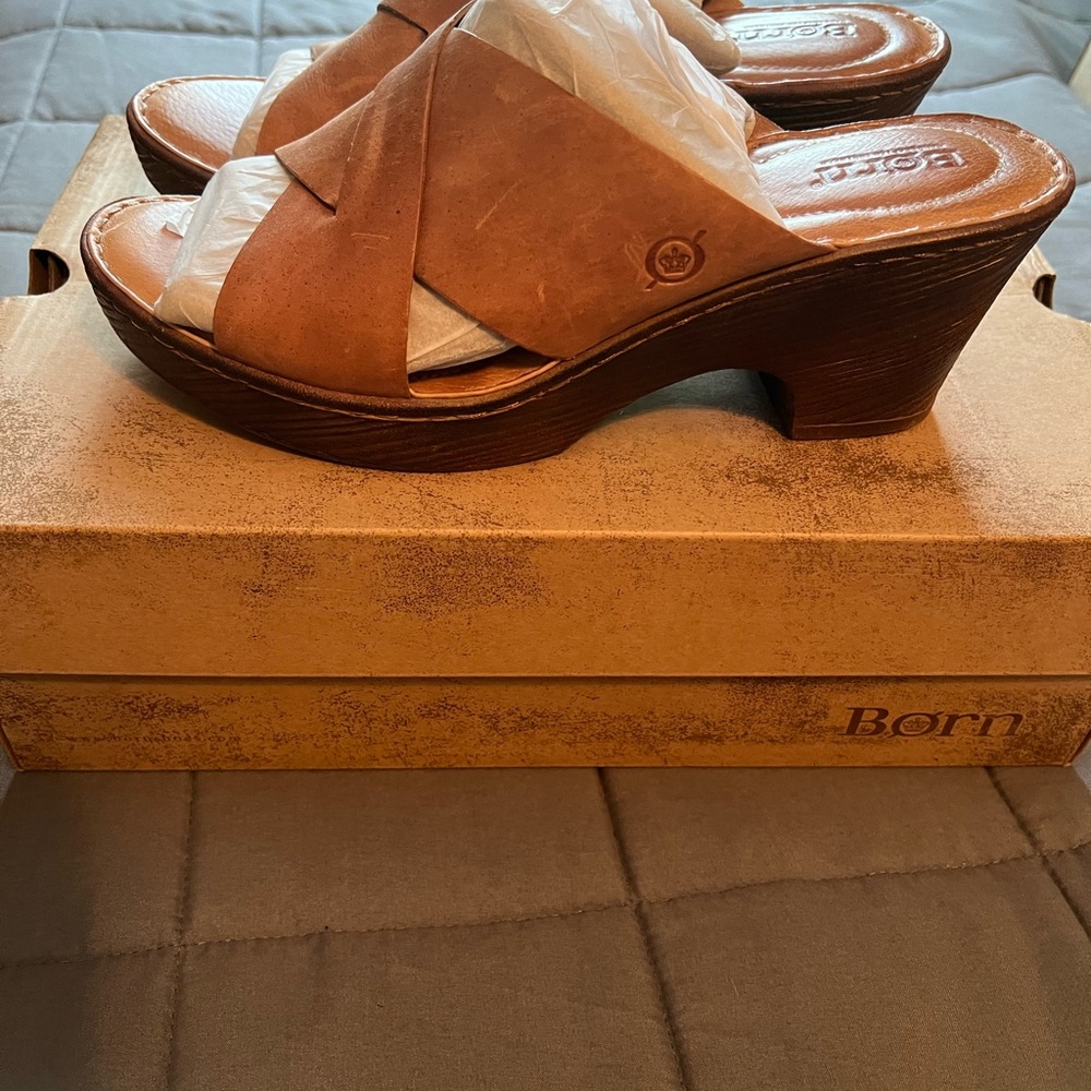 Born Coney Slides